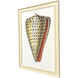 Conch Study Orange and Beige and Blue and Multi Framed Art