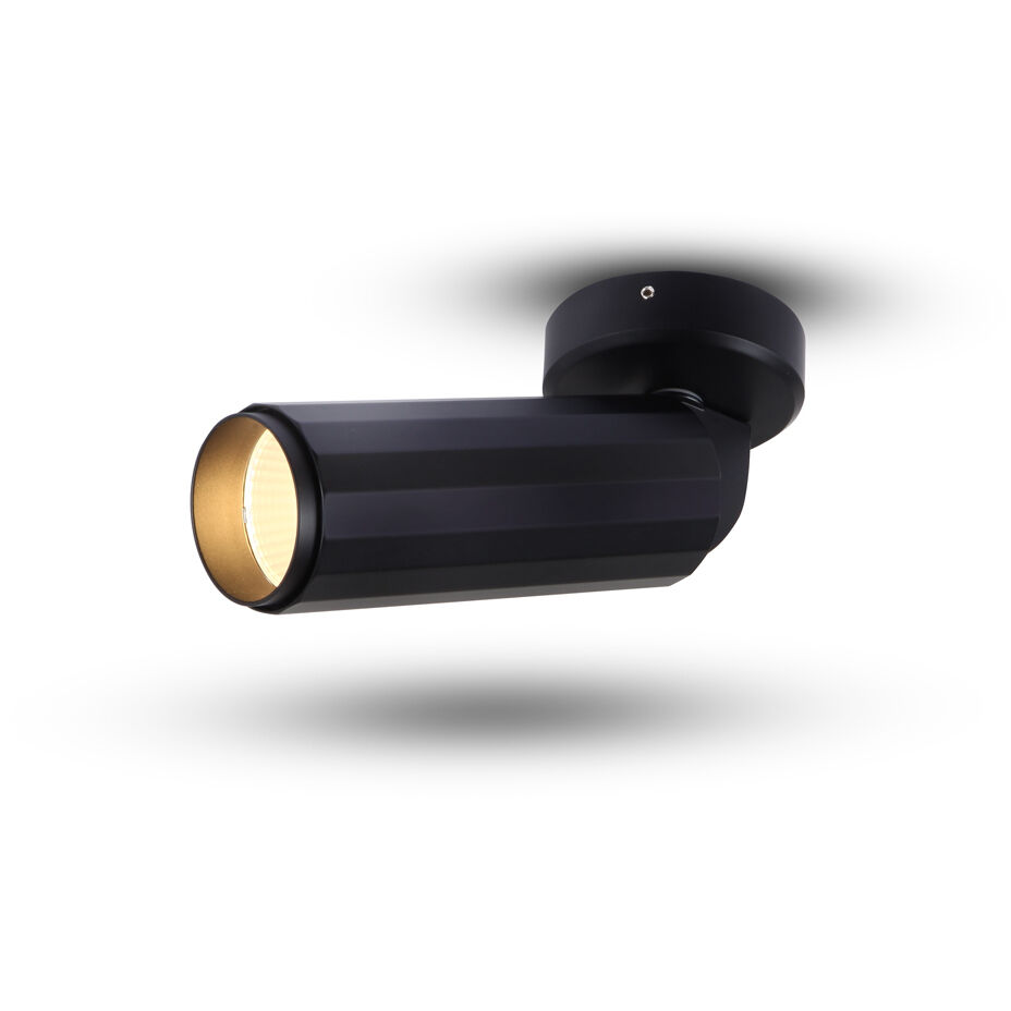 ORBIT Series Black Surface Mounted Downlight Ceiling Light