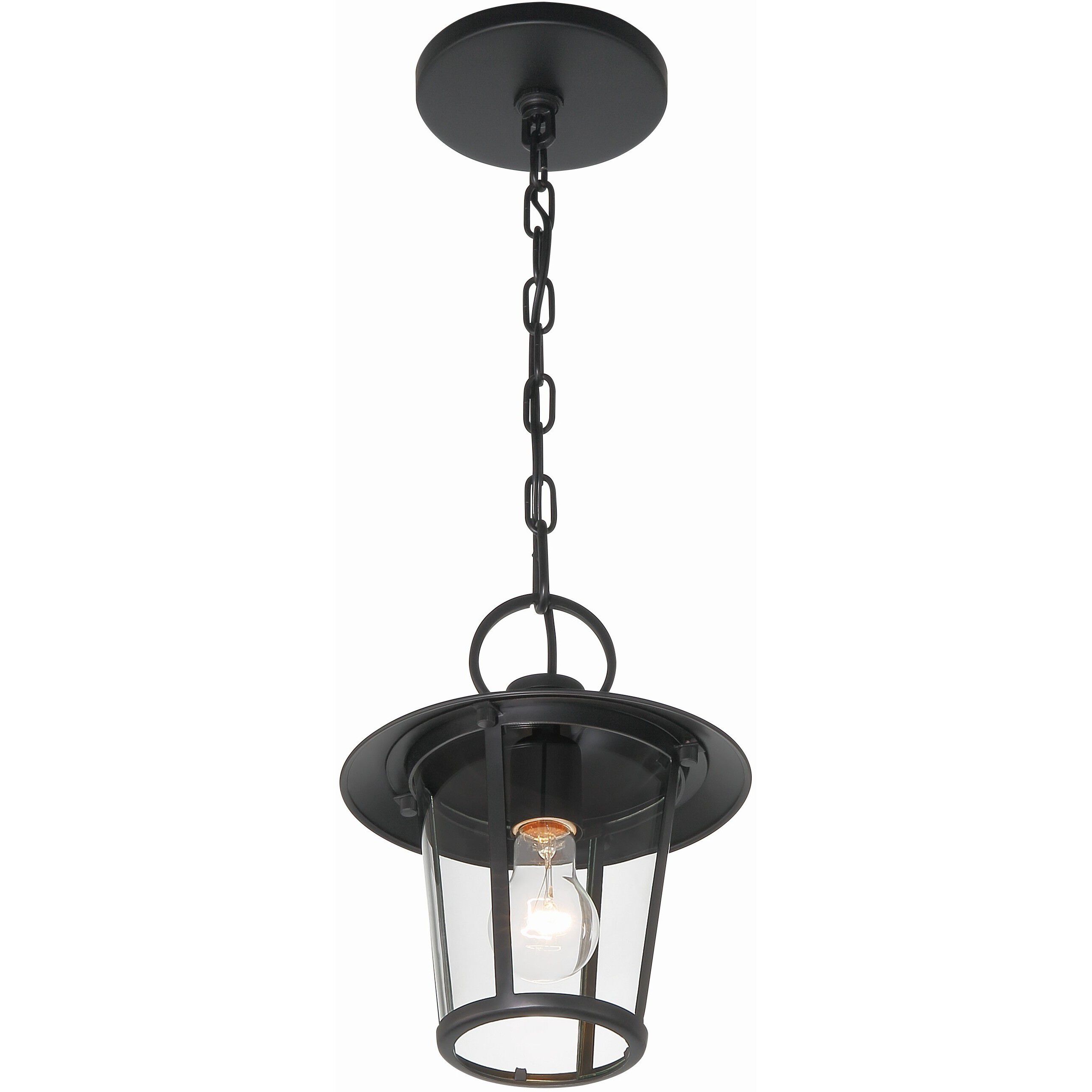 Andover 1 Light 9 inch Matte Black Outdoor Pendant in Clear