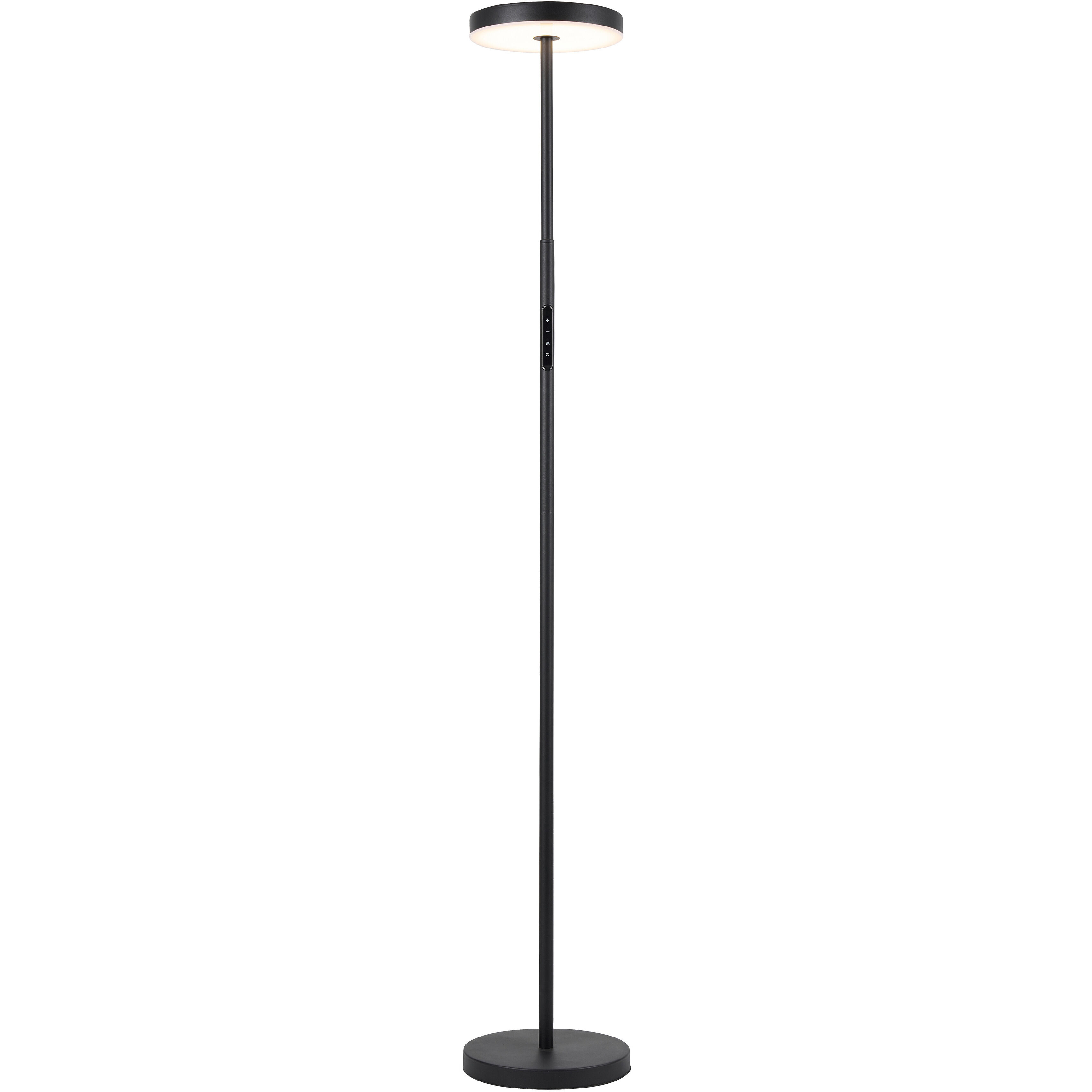 Francine 54 inch 30.00 watt Sandy Black Floor Lamp Portable Light