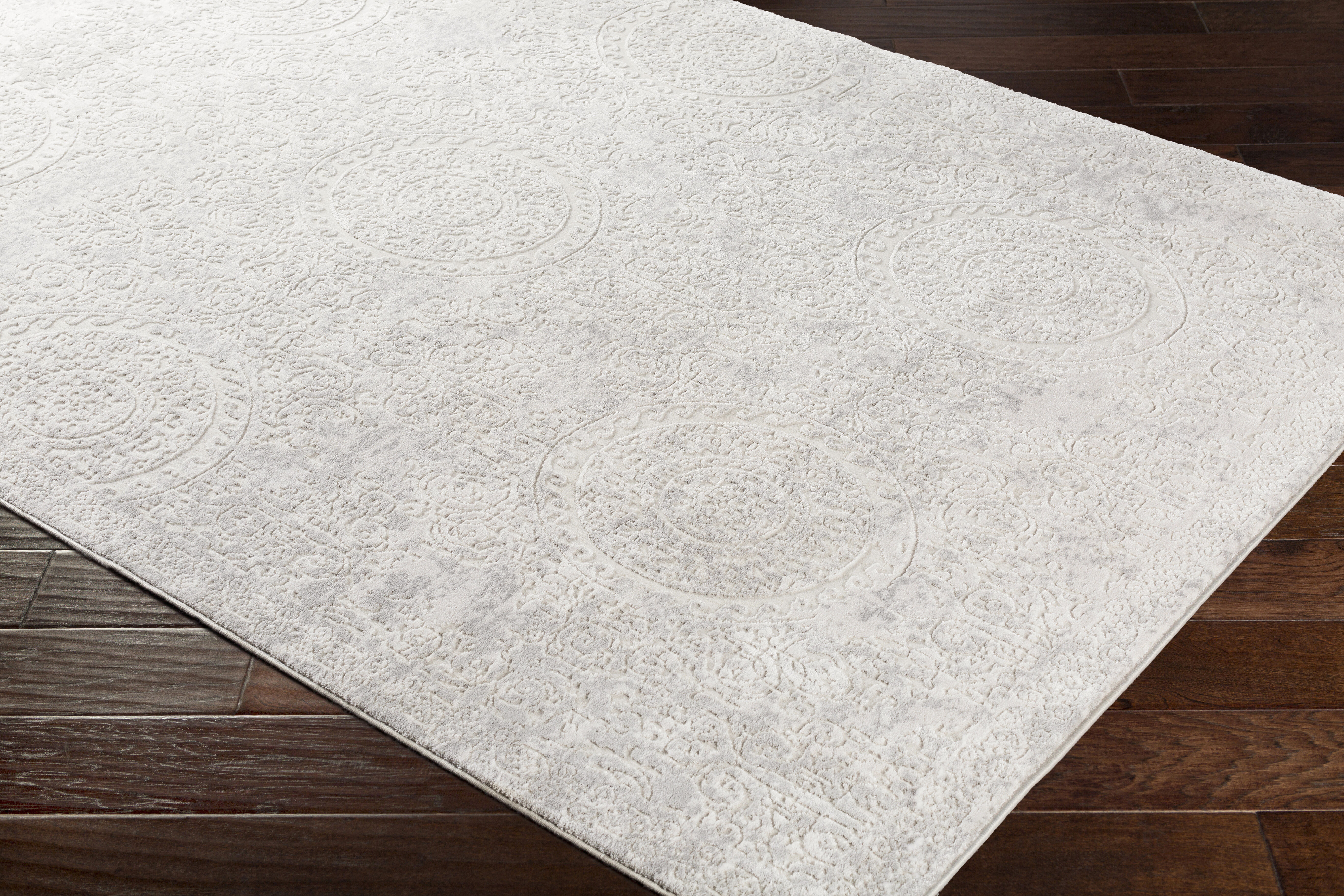 Aisha 60 X 31 inch Light Gray Rug in 3 x 5, Rectangle