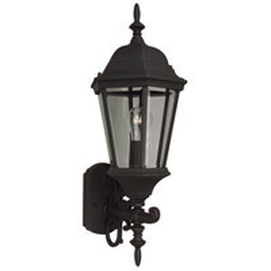 Straight Glass 1 Light 9.50 inch Outdoor Wall Light