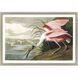 Animals Collection Multi Framed Art