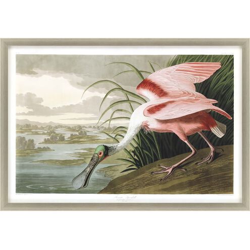 Animals Collection Multi Framed Art