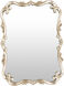Alfonso 40.5 X 30.5 inch Champagne Mirror, Rectangle