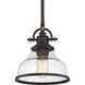 Grant 1 Light 8 inch Palladian Bronze Mini Pendant Ceiling Light