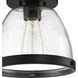 Lodie 1 Light 10 inch Flat Black Flushmount Ceiling Light