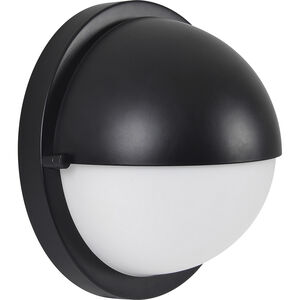 Raina 1 Light 7.75 inch Matte Black Wall Sconce Wall Light