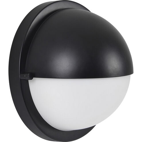 Raina 1 Light 7.75 inch Matte Black Wall Sconce Wall Light