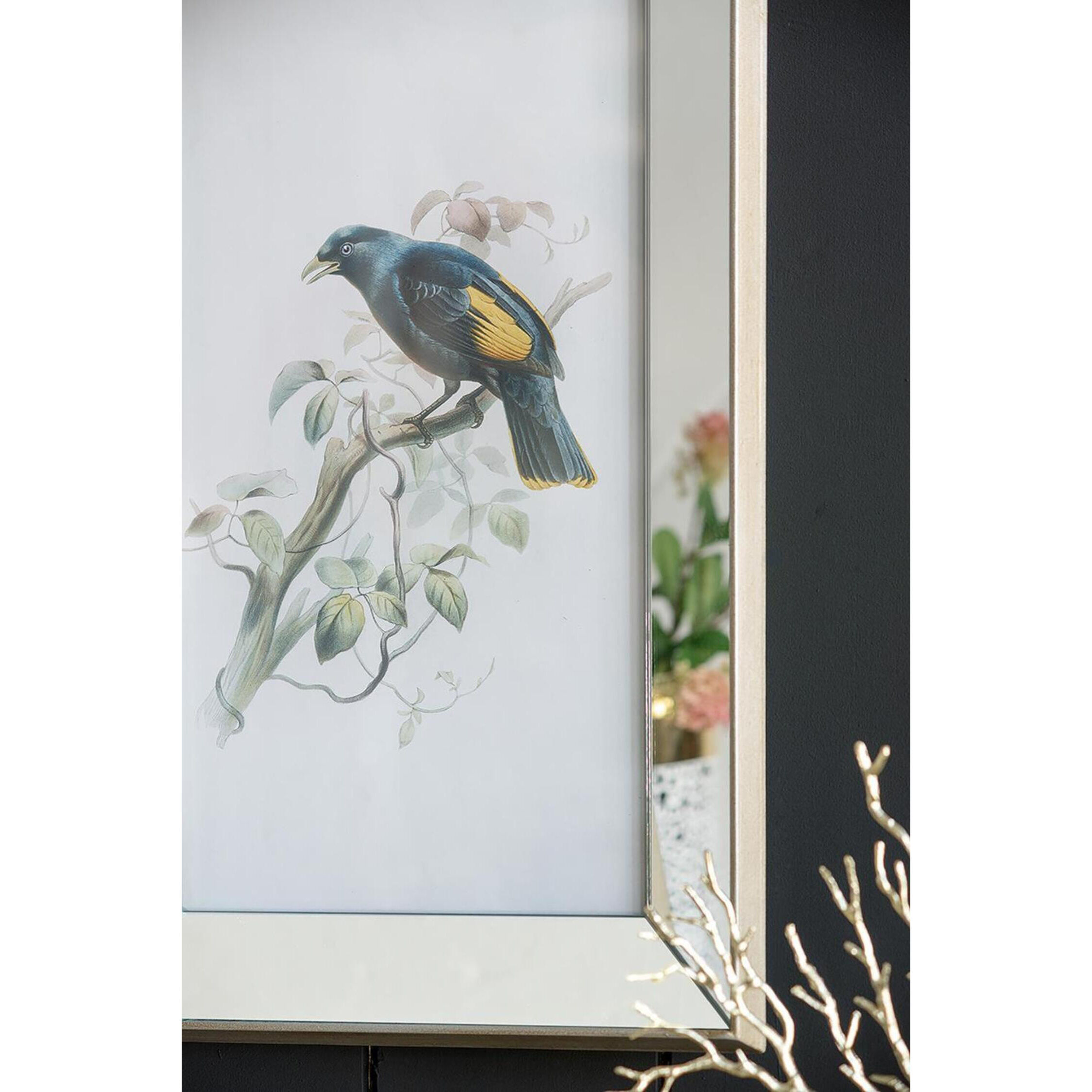Bird Mirror Frame Print Multi Color Wall Art, Set of 2