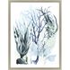 Naturals Collection Blue Framed Art