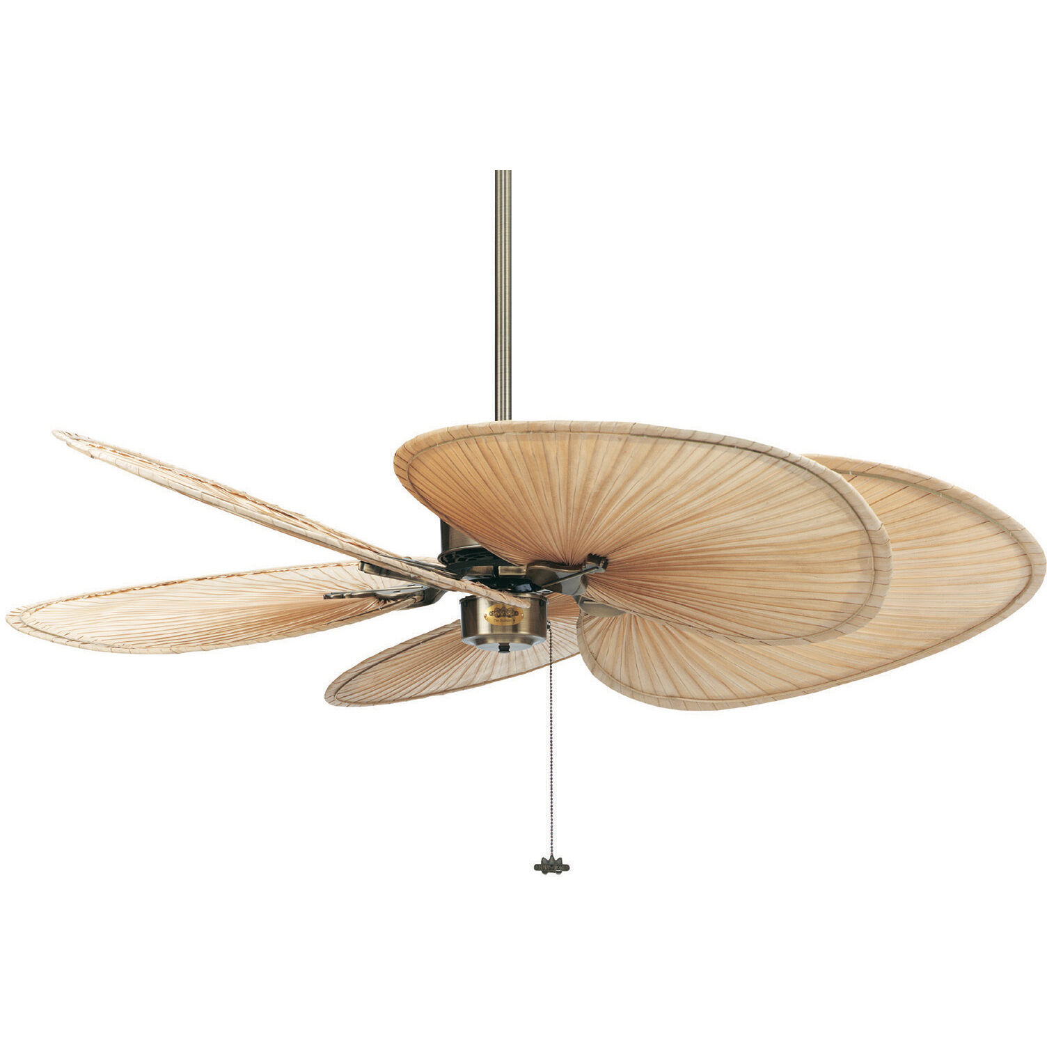 Blades Palm Natural Palm 22 inch Each Fan Blades