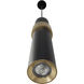 Cicada LED 3 inch Black with Knurled Brass Pendant Ceiling Light