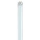 Lumos Fluorescent 17 watt 4100K Light Bulb, T8 Linear