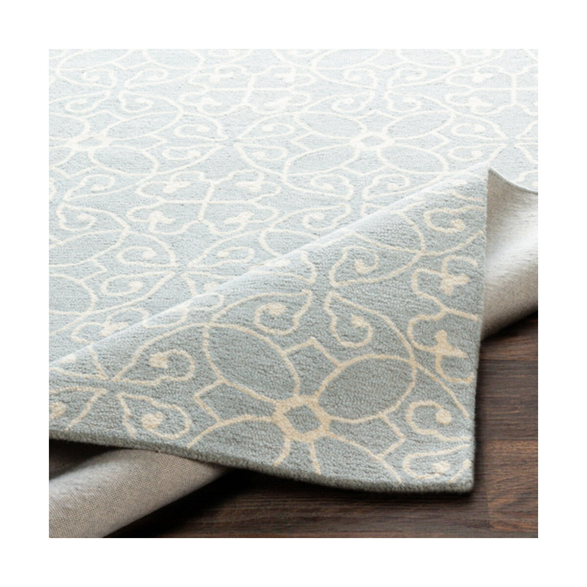 Scott 72 X 48 inch Light Gray/Cream Rugs, Rectangle