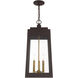 Oslo 3 Light 10.5 inch Bronze Outdoor Pendant Lantern