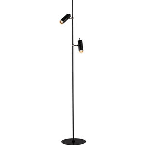 Focus 63 inch 12.00 watt Satin Dark Gray Floor Lamp Portable Light