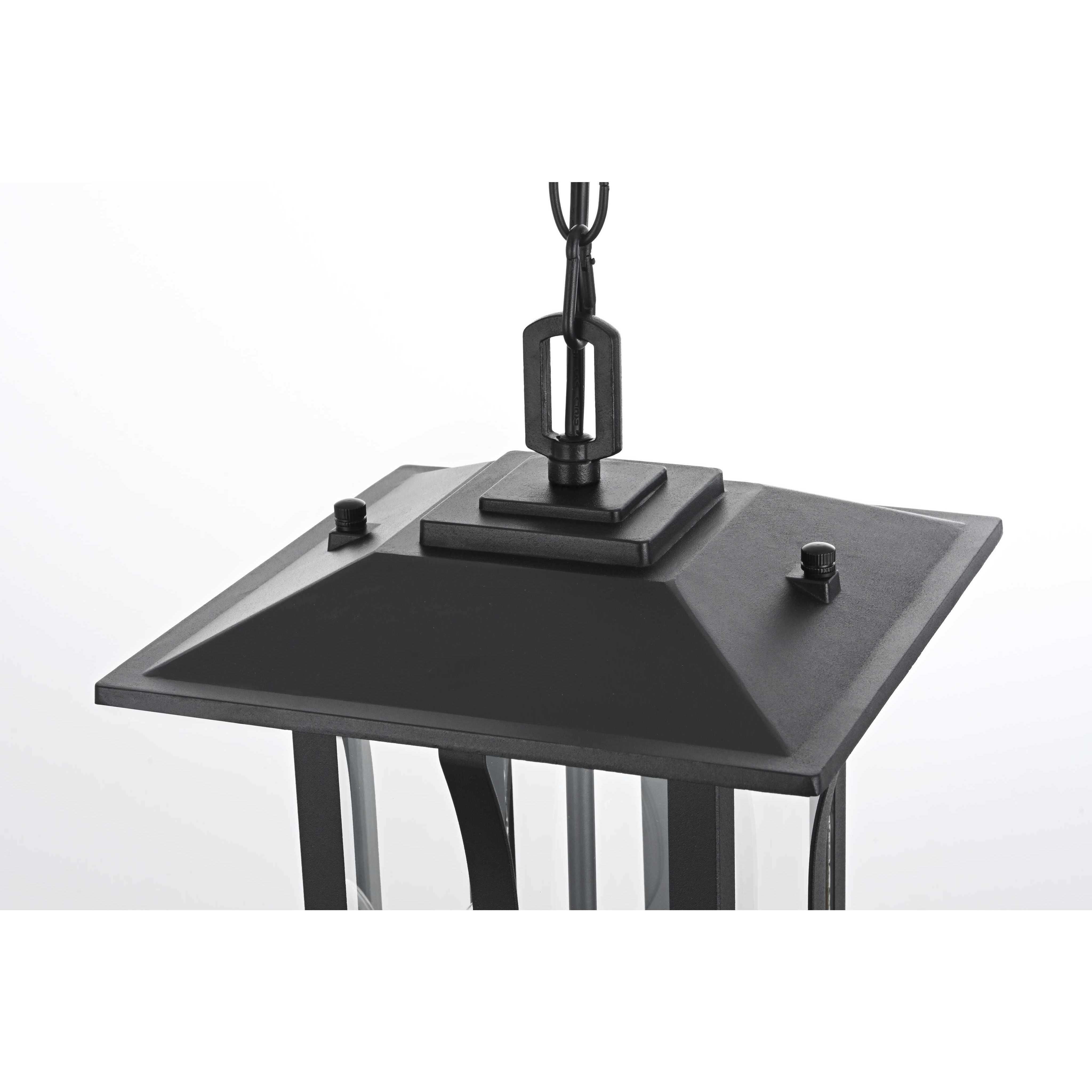 Thayer 2 Light 9 inch Black Outdoor Pendant