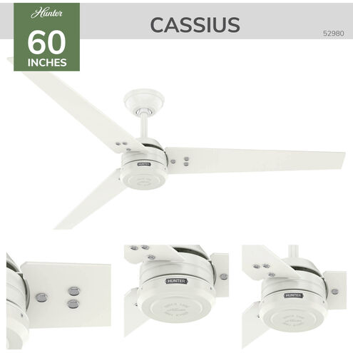 Cassius 60 inch Fresh White with Light Stripe/Fresh White Blades Outdoor Ceiling Fan