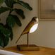 Hope 10.75 inch 5 watt Heritage Bronze Table Lamp Portable Light
