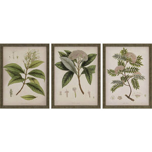Plants Green and Brown and Beige and Pink Framed Art