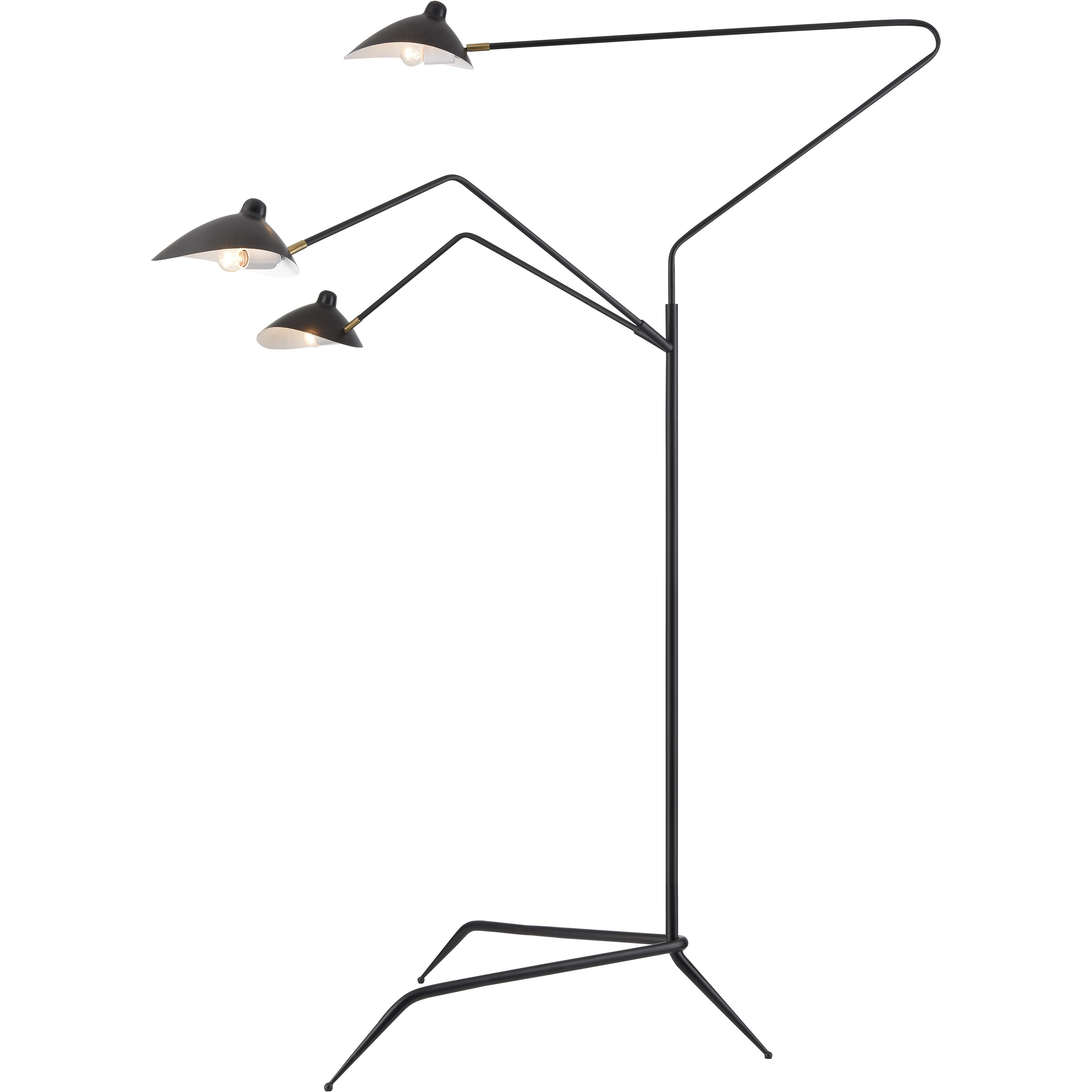 Risley 81.5 inch 40 watt Matte Black with Aged Brass Floor Lamp Portable Light