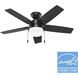 Anisten 44 inch Matte Black with Matte Black/Dark Gray Oak Blades Ceiling Fan