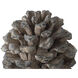 Pine Gray Statue