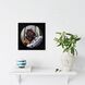 Animals Collection 11 X 11 inch Non-Glass Framed Art