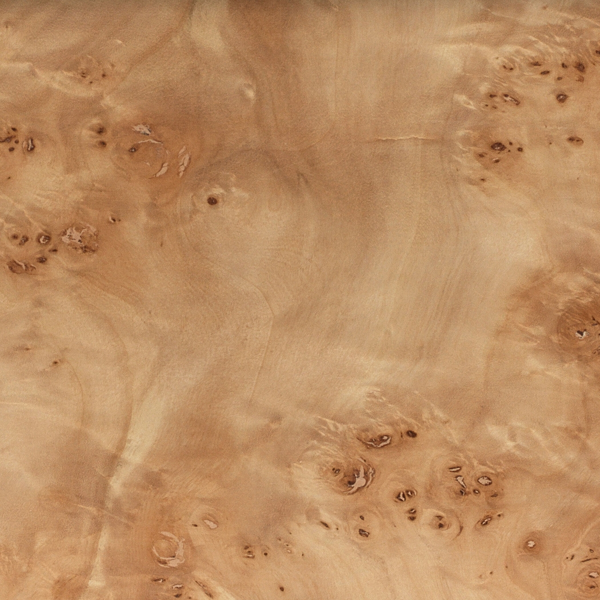 Parallel 21.75 inch 150 watt Natural Burl Wood Table Lamp Portable Light