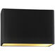 Ambiance LED 12 inch Matte Black ADA Wall Sconce Wall Light
