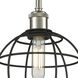 Lake Placid 1 Light 8 inch Satin Nickel Pendant Ceiling Light
