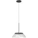 Magellan LED 12 inch Black with Clear Acrylic Light Guide Pendant Ceiling Light