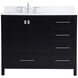 Irene 42 X 22 X 34 inch Black Vanity Sink Set