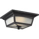 Essex LED 11 inch Sterling Black Flush Mount Ceiling Light