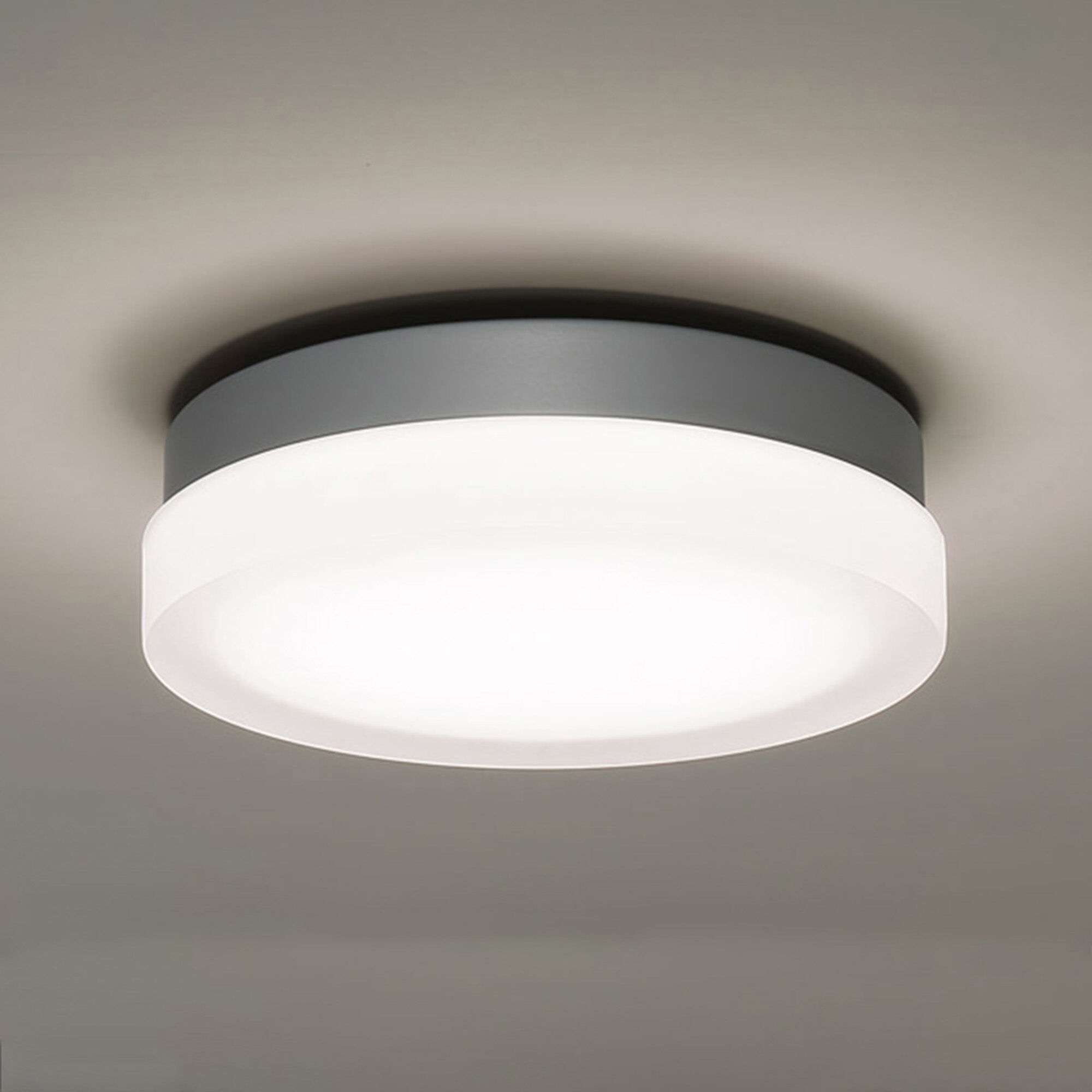 Circa flush mount cheap