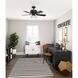 Cedar Key 44 inch Matte Black with Barnwood/Black Willow Blades Outdoor Ceiling Fan