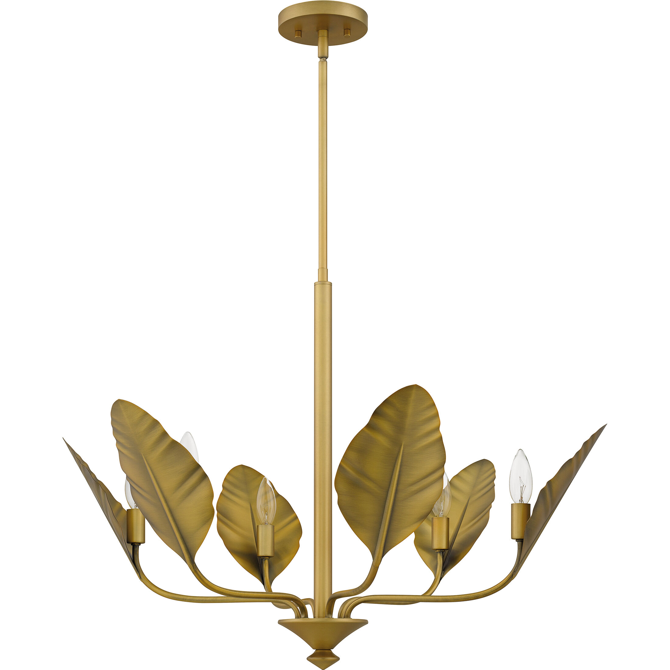 Bayley 6 Light 28 inch Aged Brass Chandelier Ceiling Light