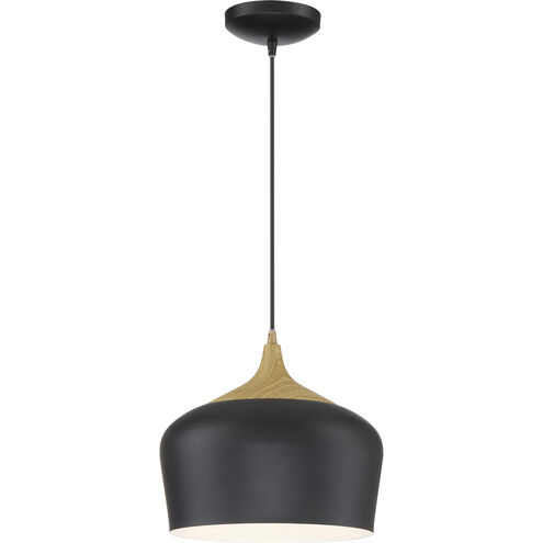 Blend 1 Light 12 inch Black Pendant Ceiling Light