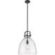 Newton Bell 1 Light 14 inch Matte Black Pendant Ceiling Light in Seedy Glass