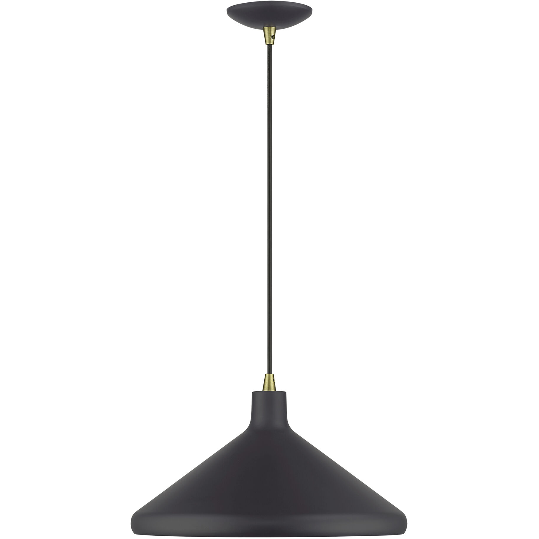 Geneva 1 Light 15.25 inch Bronze with Antique Brass Accents Pendant Ceiling Light