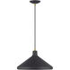 Geneva 1 Light 15.25 inch Bronze with Antique Brass Accents Pendant Ceiling Light