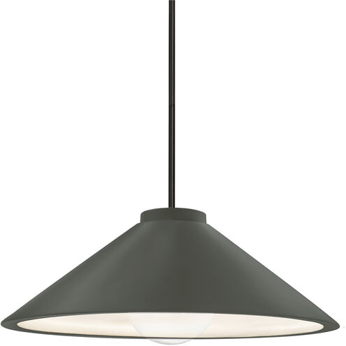Radiance Collection 1 Light 11.75 inch Pewter Green with Matte Black Pendant Ceiling Light