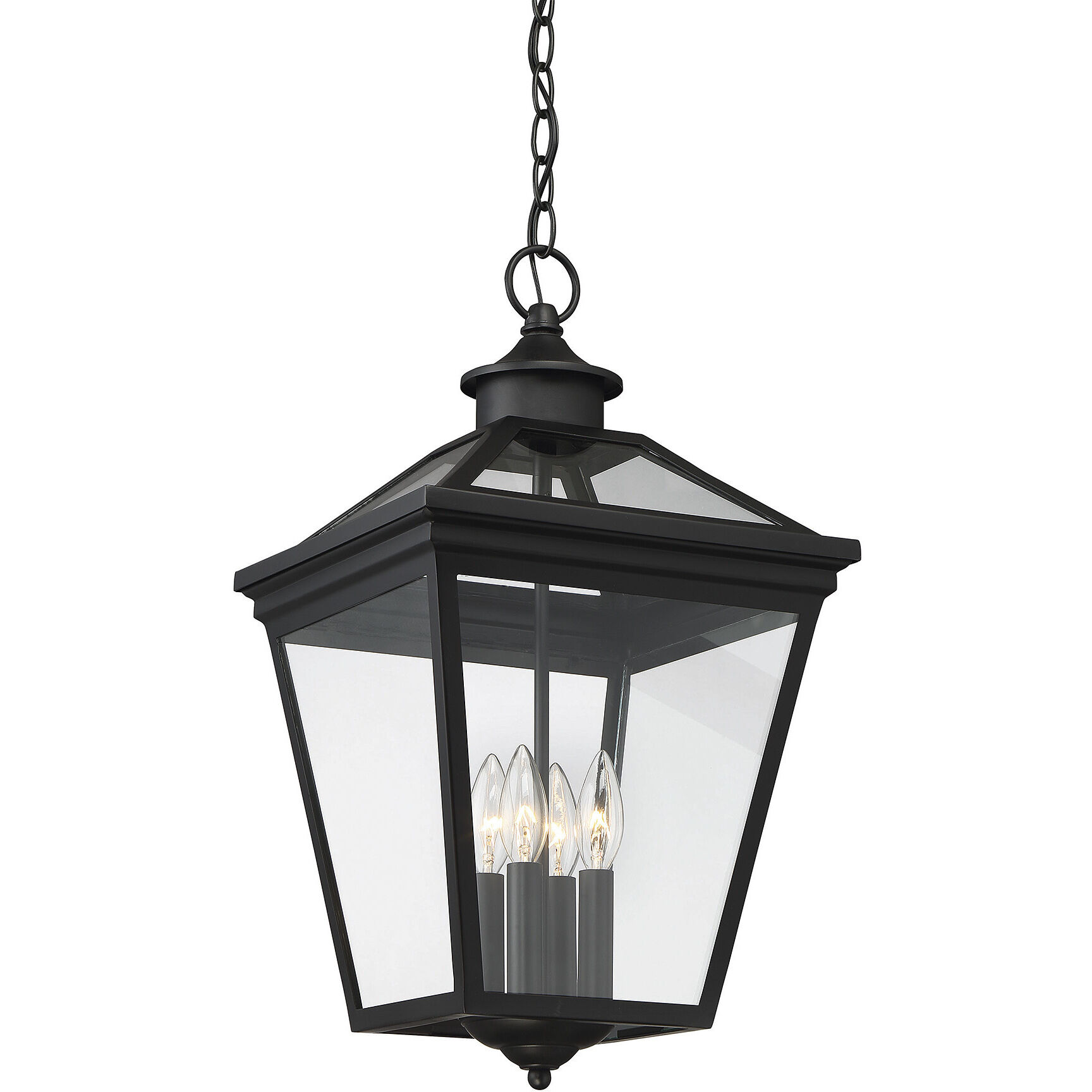 Ellijay 4 Light 12 inch Black Outdoor Hanging Lantern