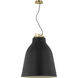 Sean Lavin Forge LED 26 inch Natural Brass Line-Voltage Pendant Ceiling Light in Nightshade Black