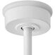 Regency Series Mistral 60 inch Matte White Fan