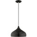 Allison 1 Light 12 inch Shiny Black Mini Pendant Ceiling Light