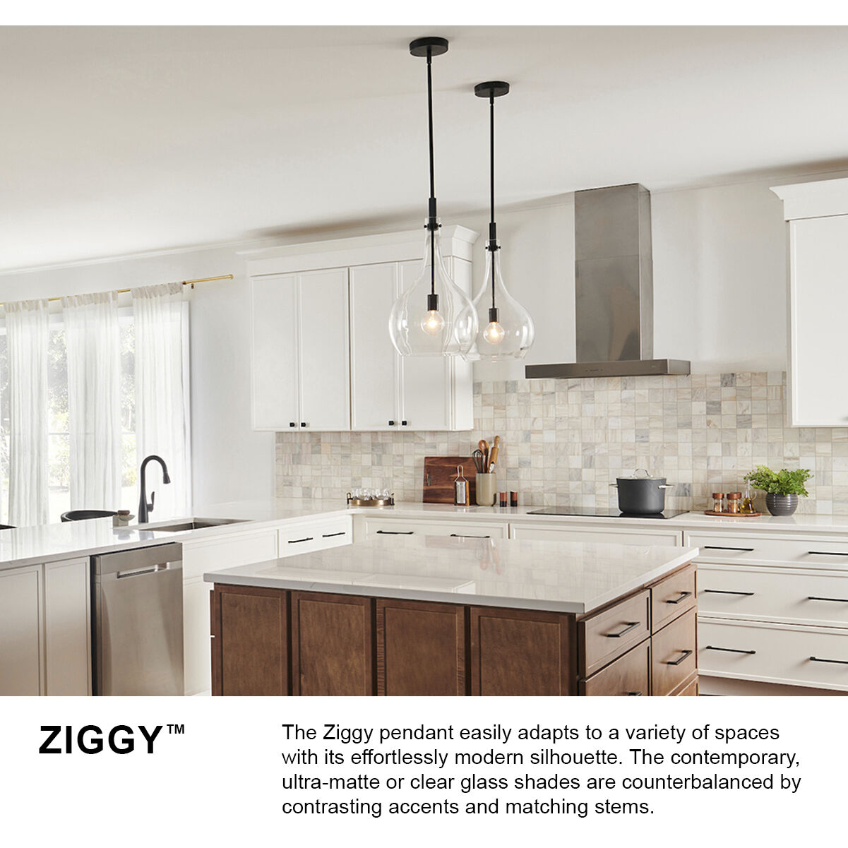 Ziggy 1 Light 12 inch Black Indoor Pendant Ceiling Light in Clear