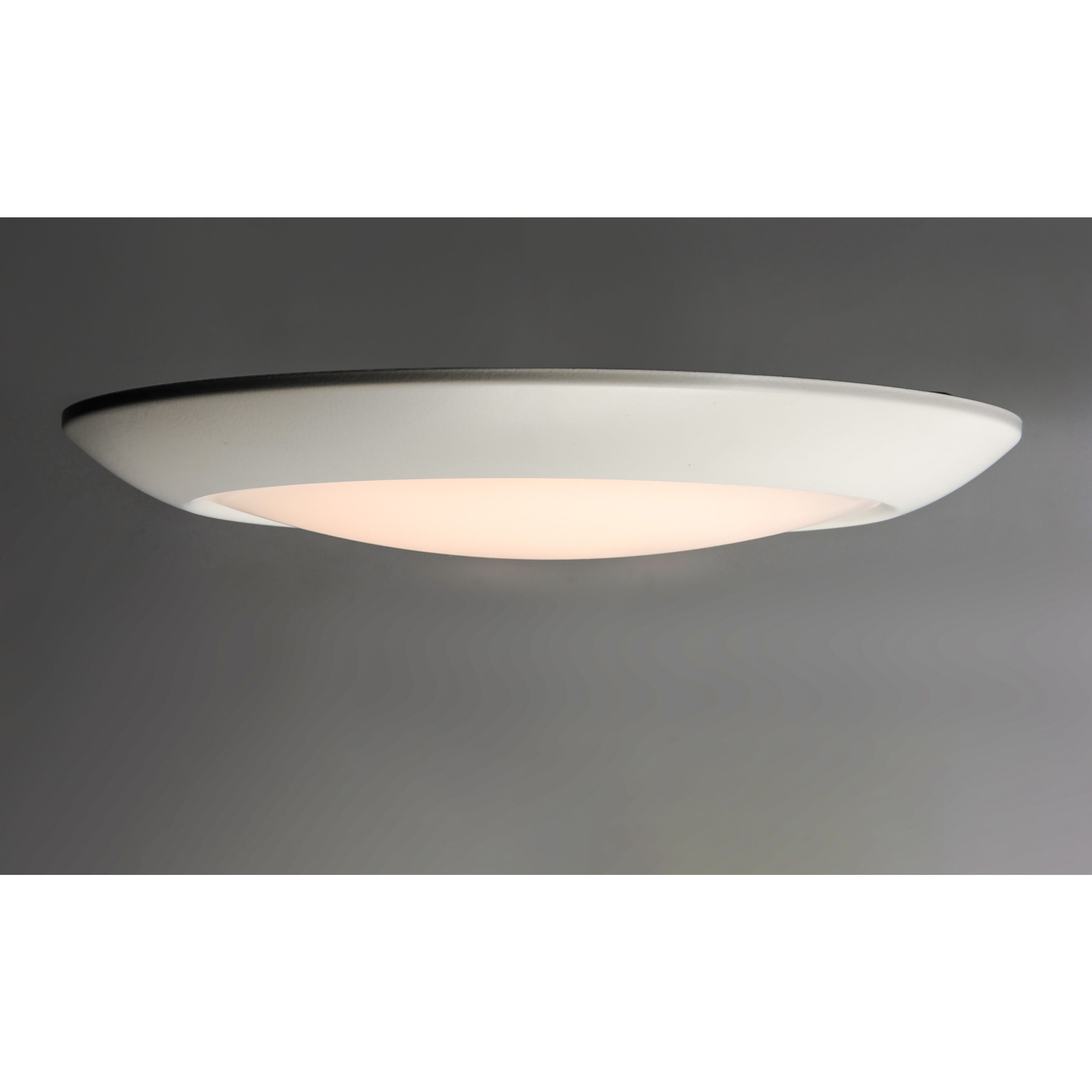 Diverse LED LED 9 inch White Flush Mount Ceiling Light