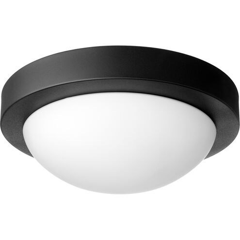 Contempo 2 Light 11.00 inch Flush Mount